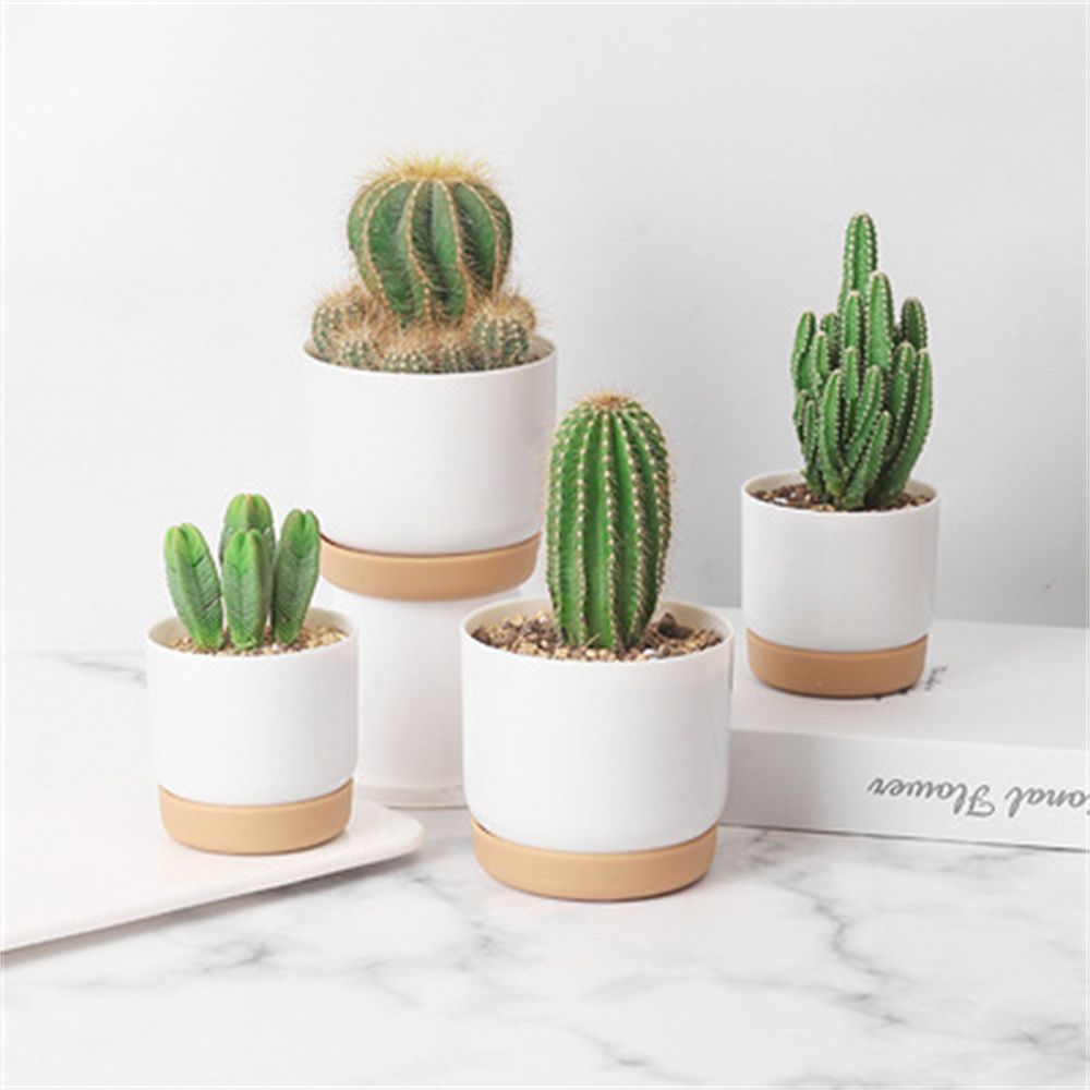 Cactus Mix Pot - Okrągłe doniczki do kaktusów i sukulentów,