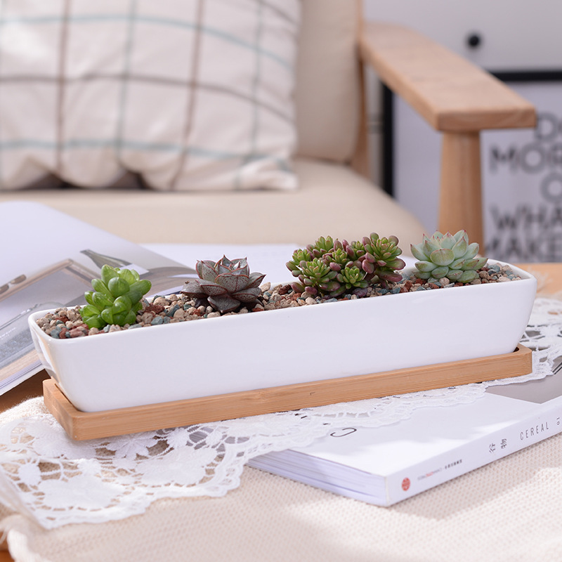 Cactus Mix Pot - Długi prostokątny biały ceramiczny doniczka na