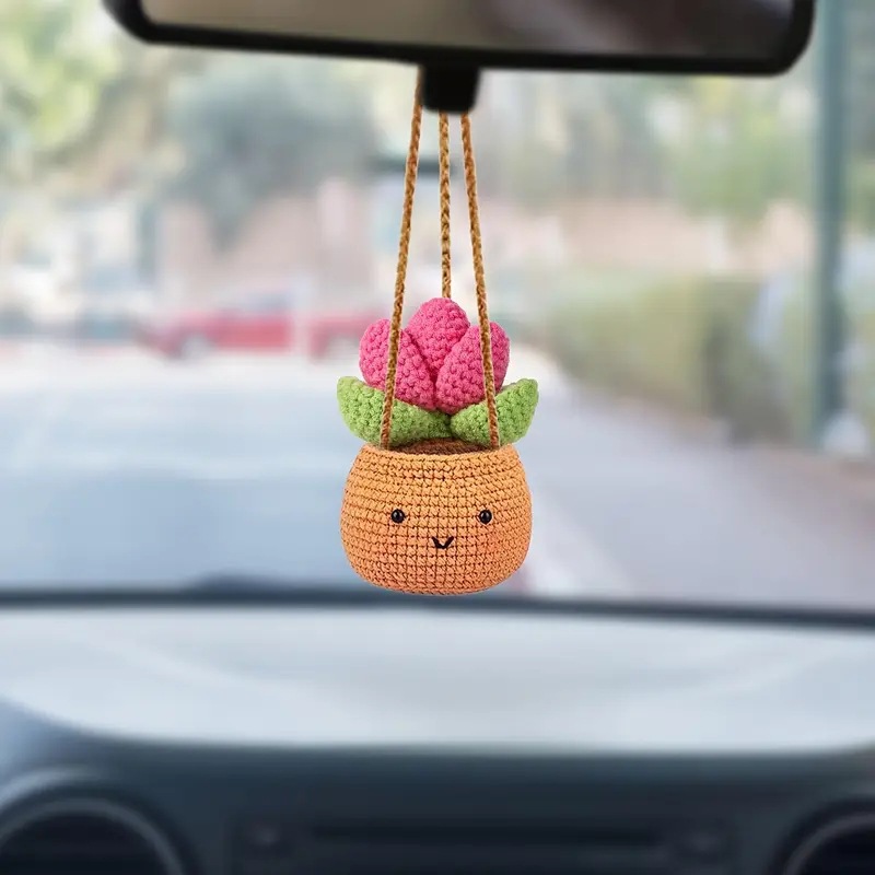 Cactus Mix Pot - Szydełkowy kaktus Mięsiste lusterko wsteczne samochodu
