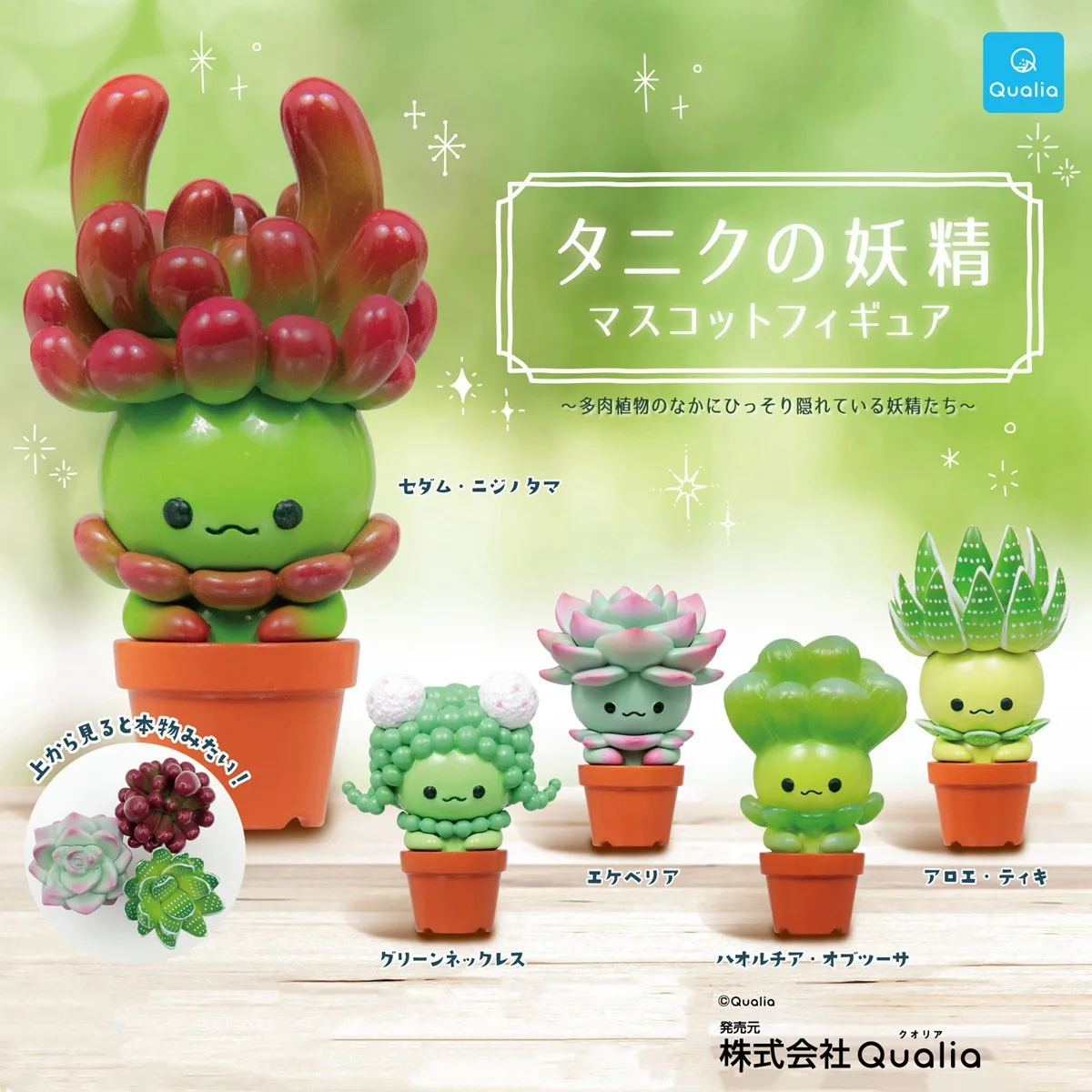 Cactus Mix Pot - Figurka Gashapon QUALIA Kawaii, urocze sukulenty,