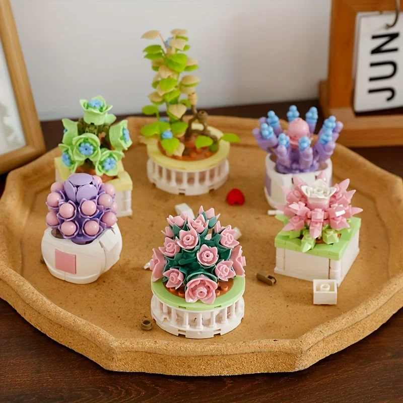 Cactus Mix Pot - Klocki Miasto DIY Rośliny Doniczkowe Sukulenty