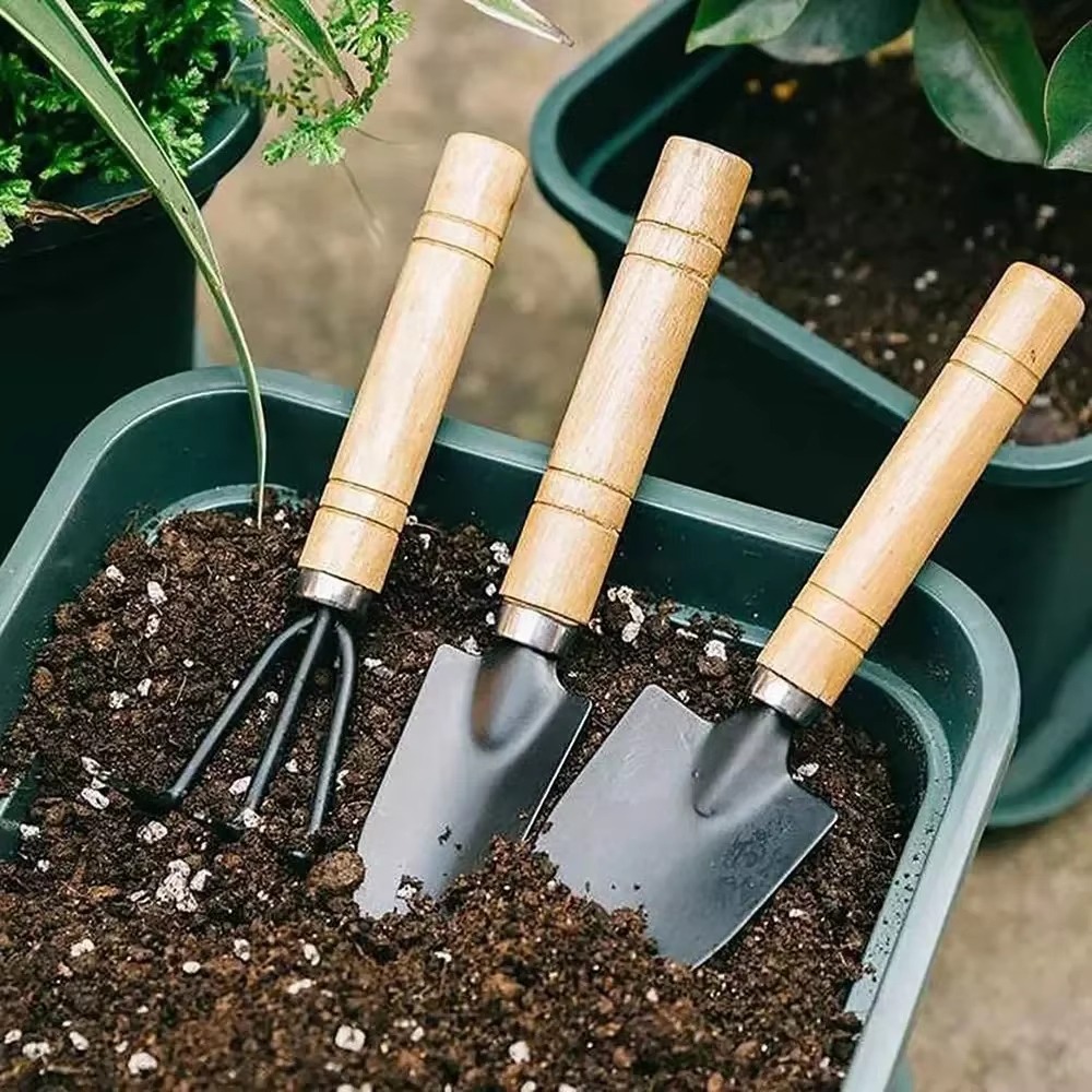 Cactus Mix Pot - 3 szt./zestaw Mini Zestaw Narzędzi Ogrodowych