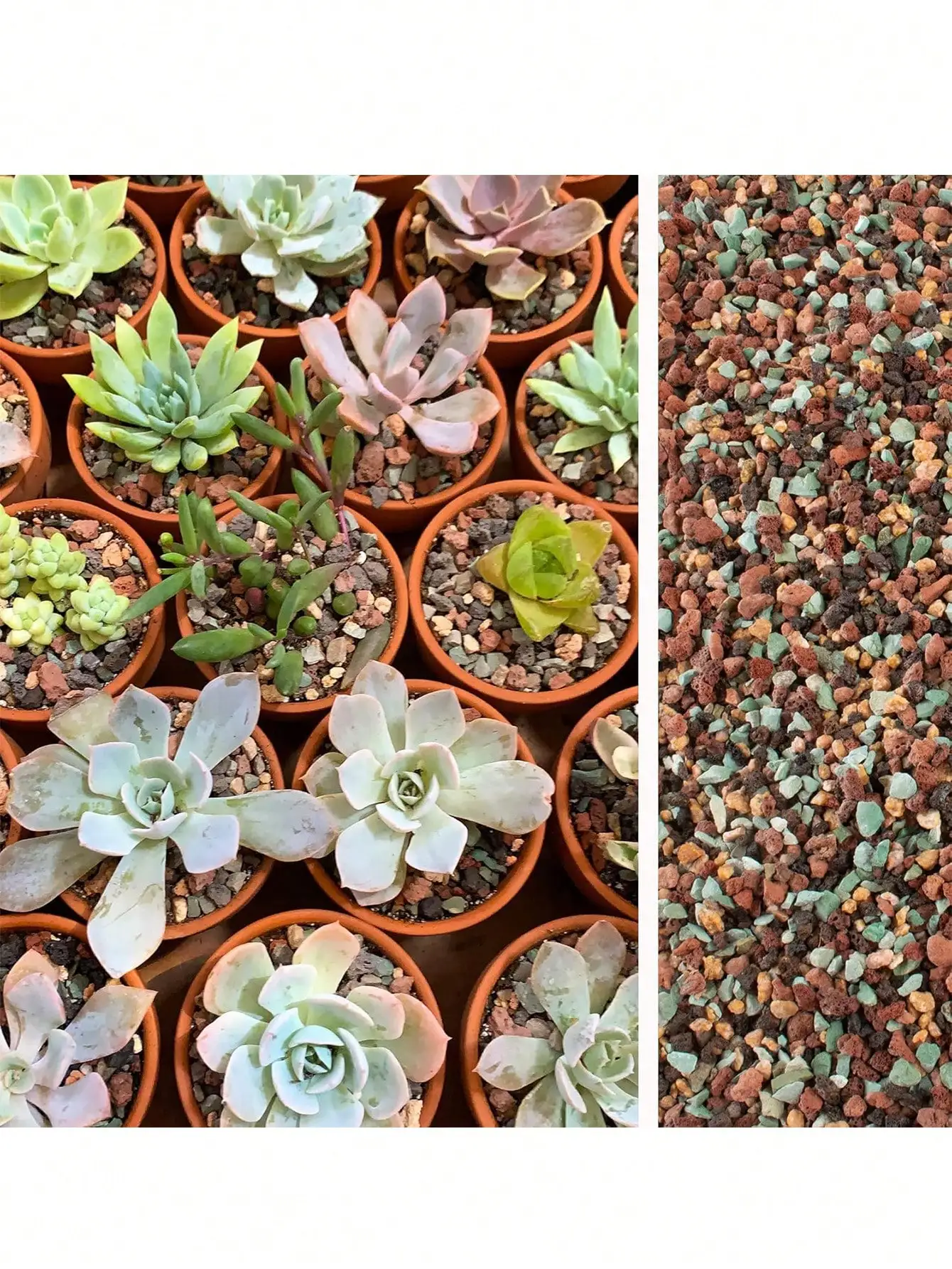 Cactus Mix Pot - Mieszanka kamieni lawowych ogrodniczych, kamieni pumeksowych,