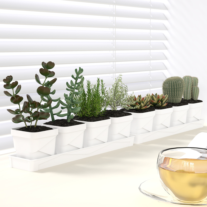 Cactus Mix Pot - Nordycki minimalistyczny doniczka na sukulenty z