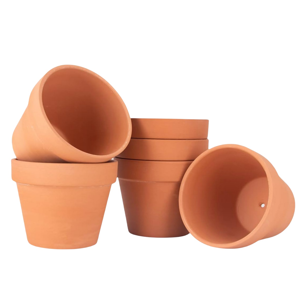 6 sztuk 4-calowych doniczek z  – Cactus Mix Pot recenzja i cena