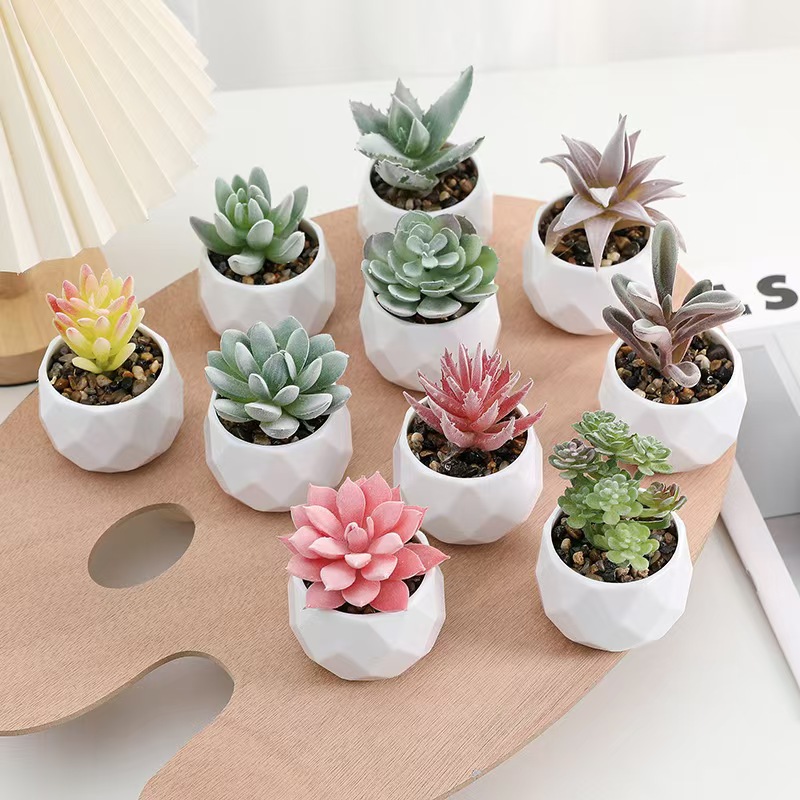 Mini sztuczne rośliny symulacj – Cactus Mix Pot recenzja i cena