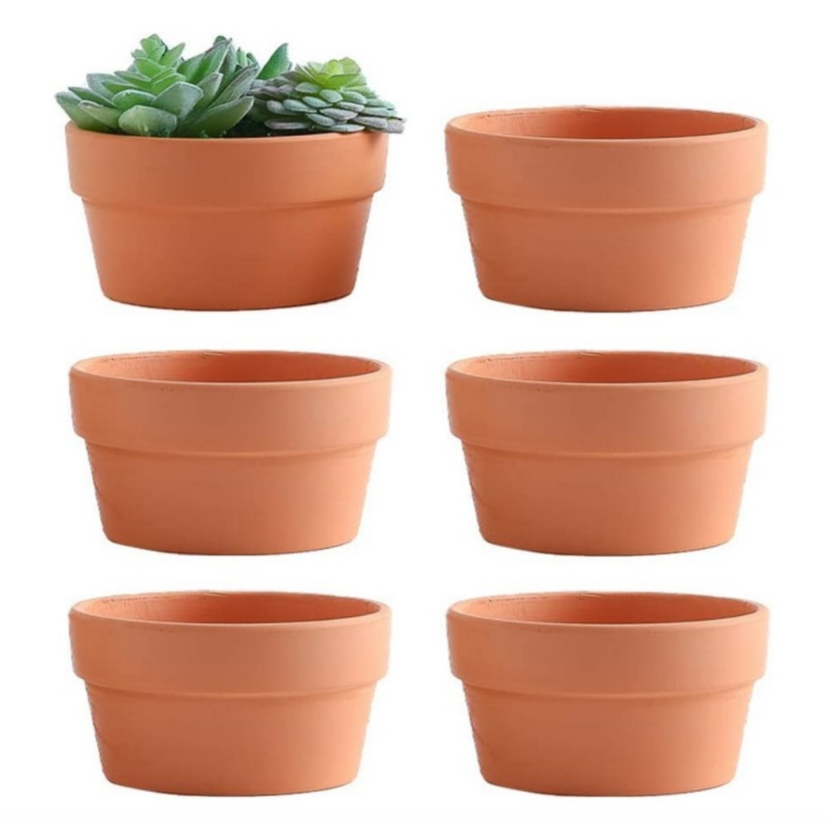 6 szt. Doniczki z terakoty Bul – Cactus Mix Pot recenzja i cena