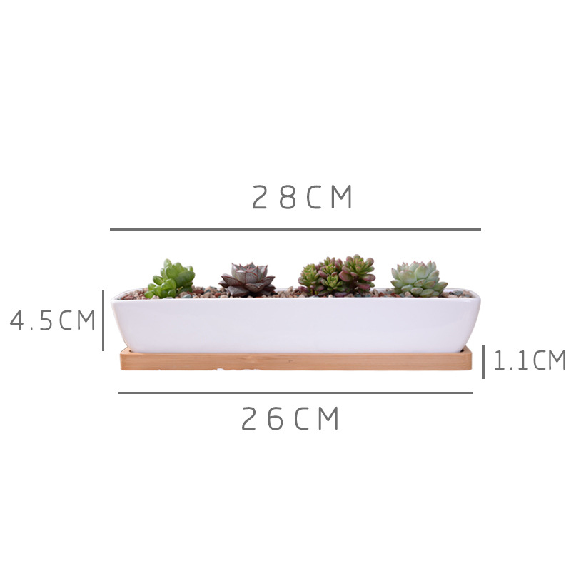 Długi prostokątny biały cerami – Cactus Mix Pot recenzja i cena