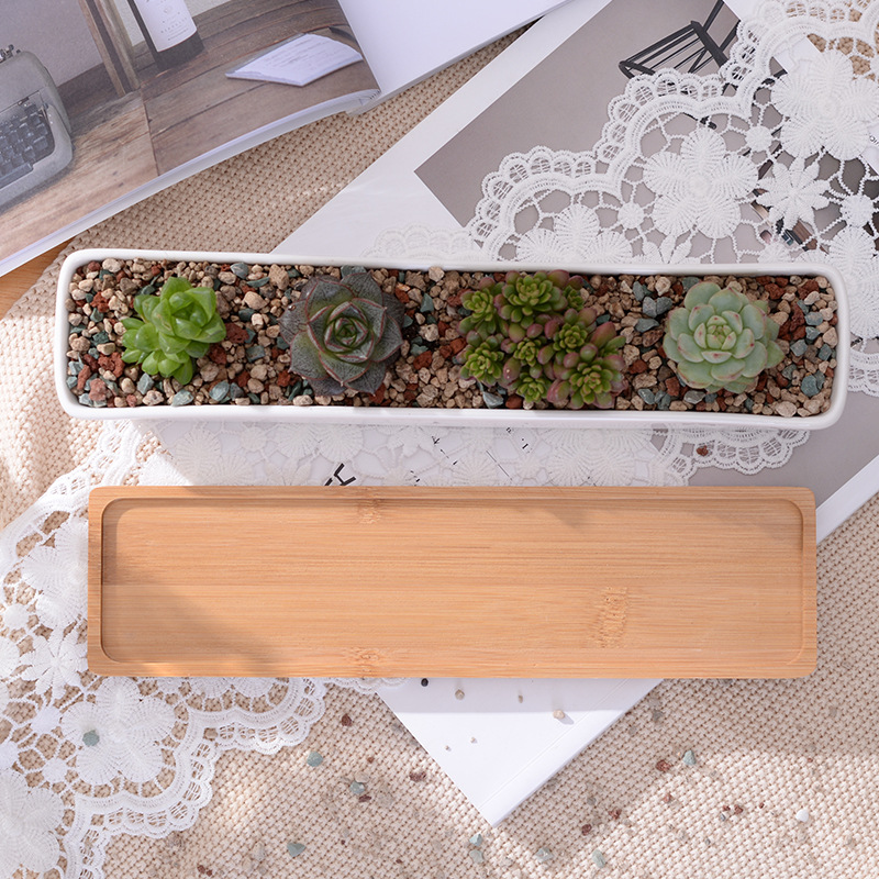 Długi prostokątny biały cerami – Cactus Mix Pot recenzja i cena