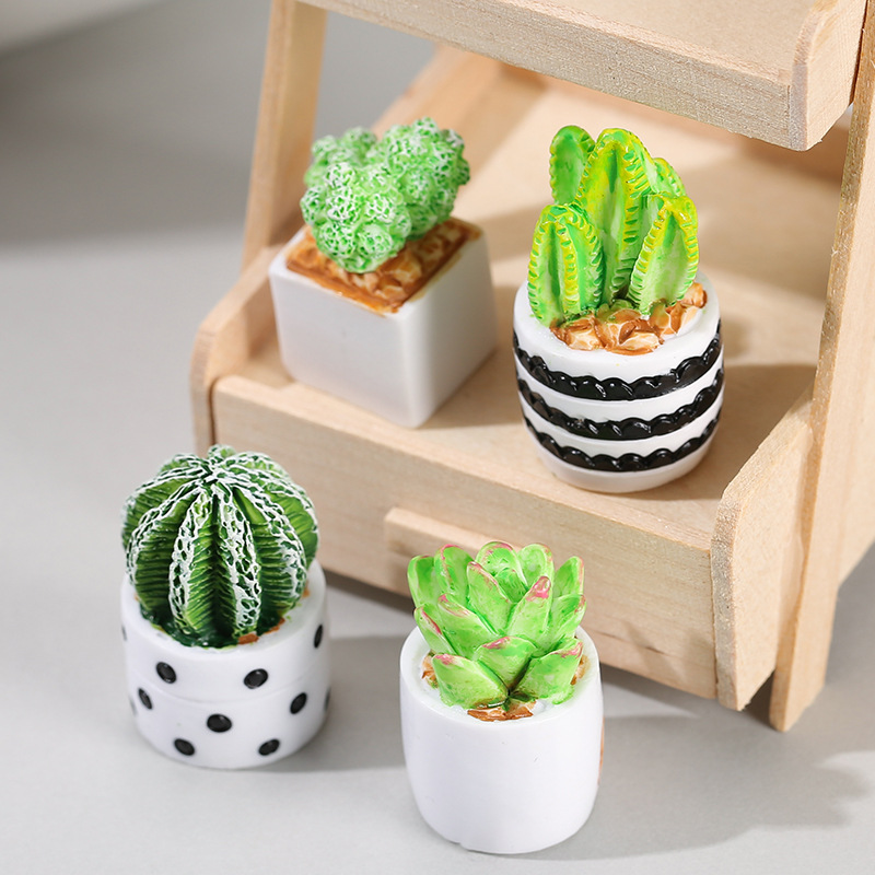 4 szt./zestaw Mini Sukulenty w – Cactus Mix Pot recenzja i cena