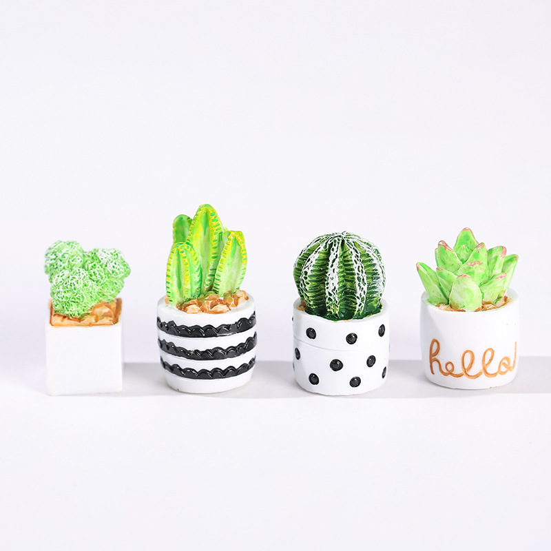 4 szt./zestaw Mini Sukulenty w – Cactus Mix Pot recenzja i cena
