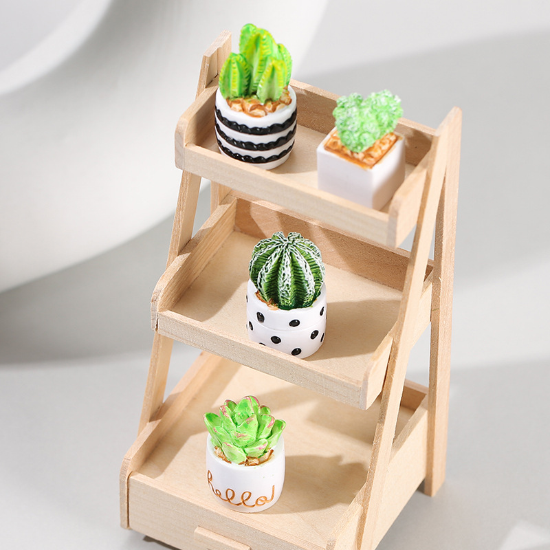 4 szt./zestaw Mini Sukulenty w – Cactus Mix Pot recenzja i cena