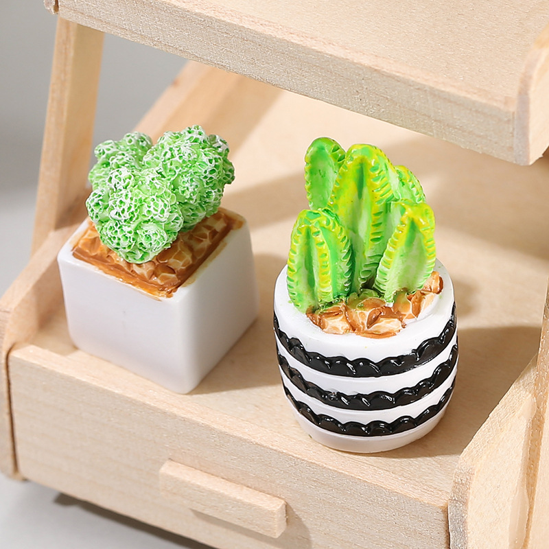 4 szt./zestaw Mini Sukulenty w – Cactus Mix Pot recenzja i cena