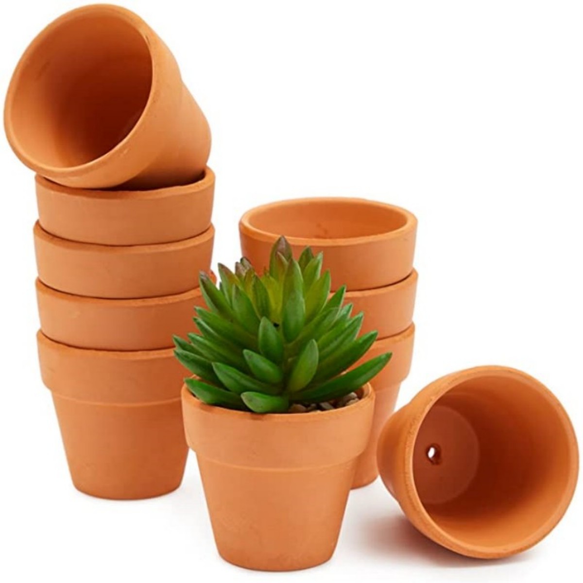 16 szt. Doniczek z terakoty 4, – Cactus Mix Pot recenzja i cena