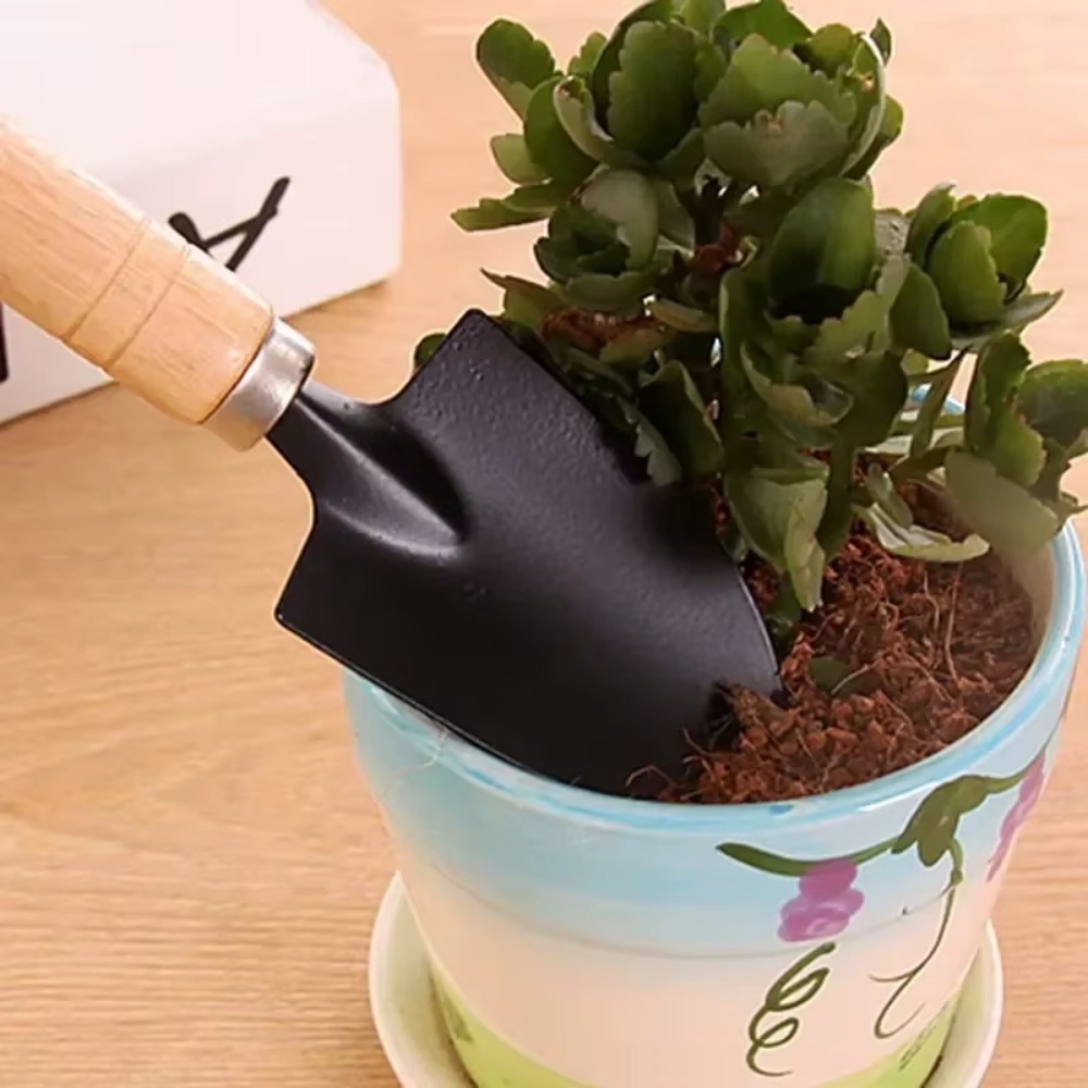 3 szt./zestaw Mini Zestaw Narz – Cactus Mix Pot recenzja i cena