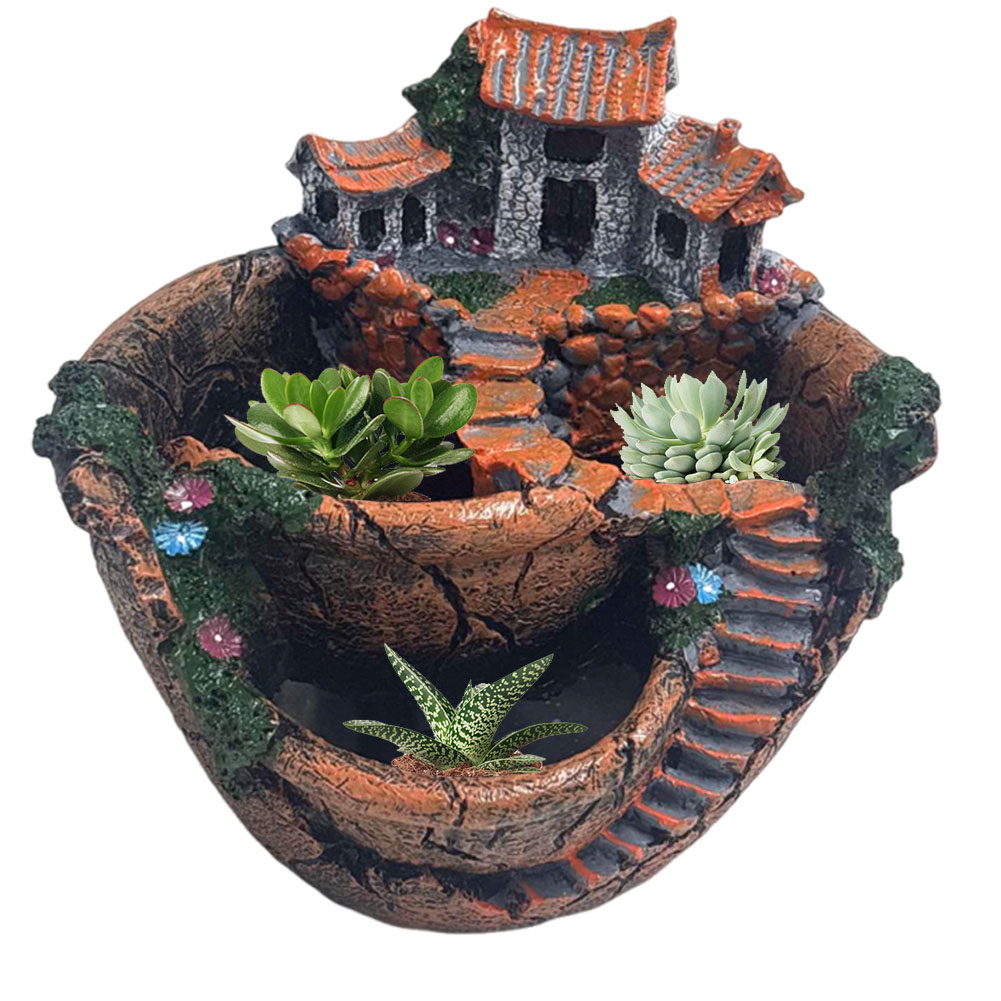 Doniczka na sukulenty w stylu  – Cactus Mix Pot recenzja i cena