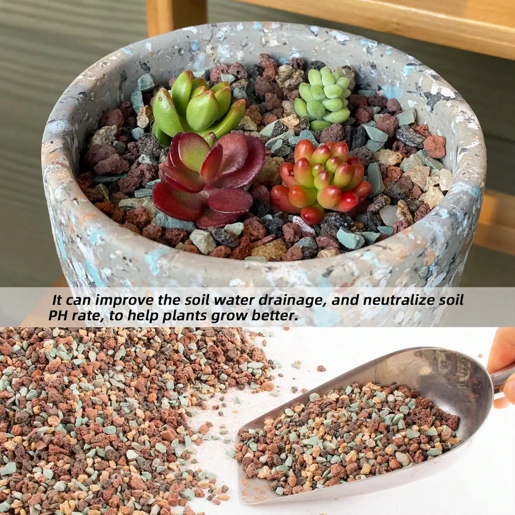 Mieszanka kamieni lawowych ogr – Cactus Mix Pot recenzja i cena