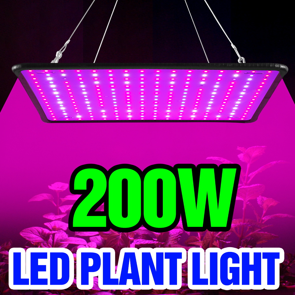 Lampa LED Quantum Board 200W d – Cactus Mix Pot recenzja i cena