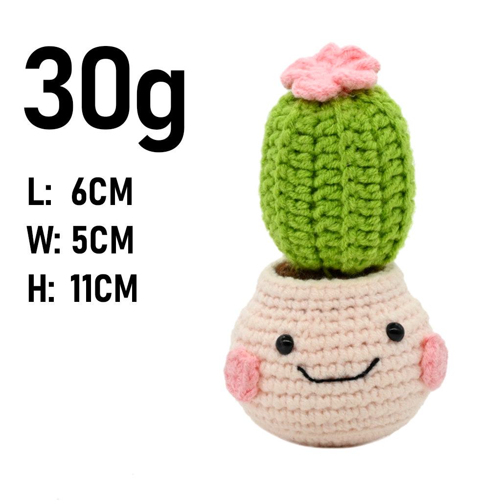 Seria PlantSeries: Kaktus na s – Cactus Mix Pot recenzja i cena