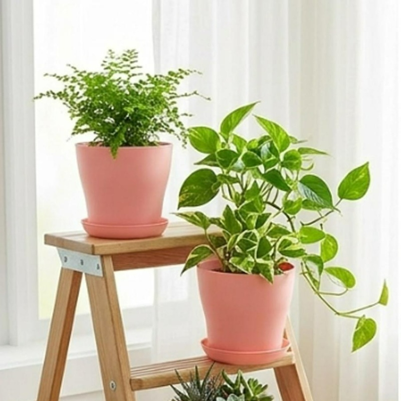 Zestaw doniczek z otworami dre – Cactus Mix Pot recenzja i cena