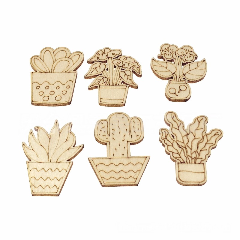 50 SZTUK Mieszane Wzory Kwiaty – Cactus Mix Pot recenzja i cena